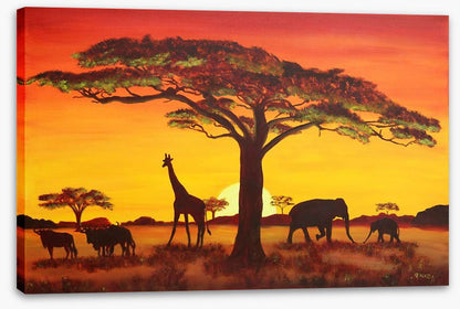 African sunset