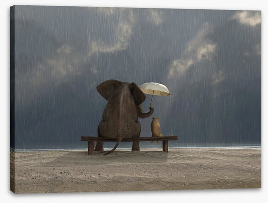 Together in the rain