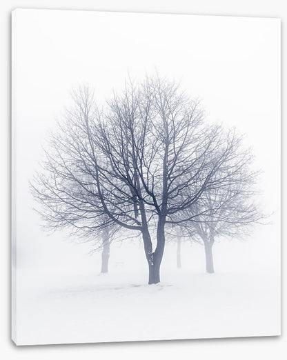 Bones of the boughs