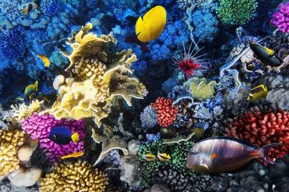 Underwater