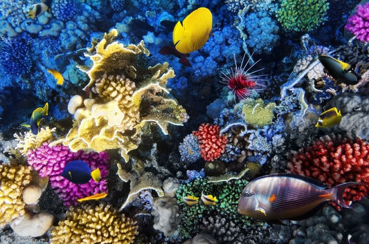 Underwater