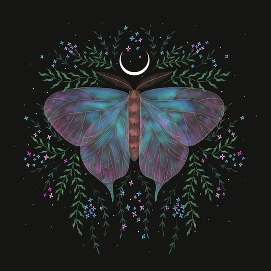 Moonlight moth