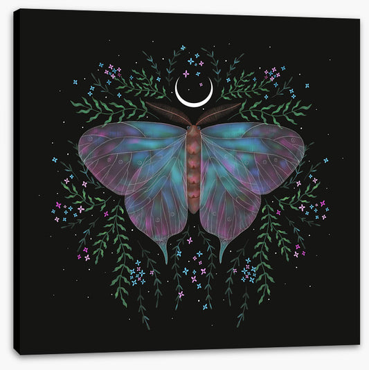 Moonlight moth