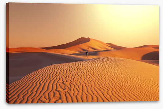 Desert