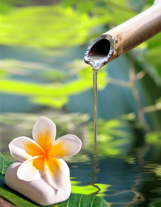 Serenity