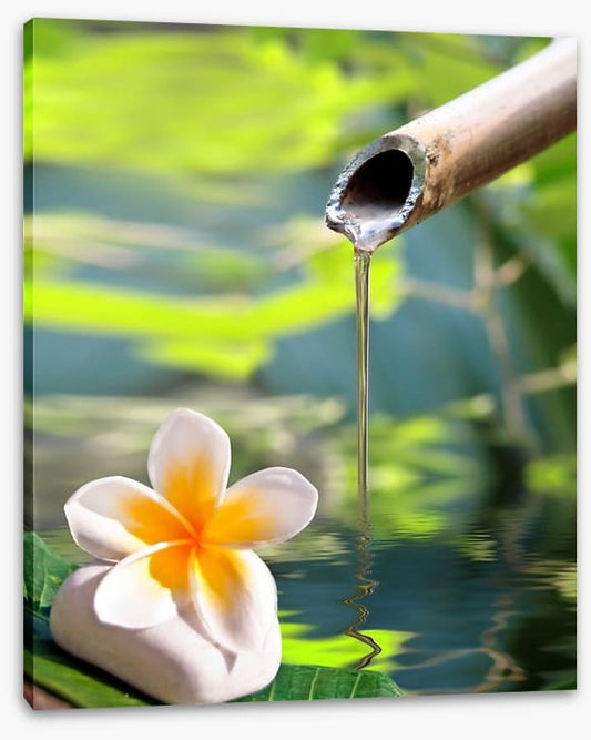 Serenity