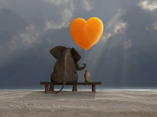Together forever