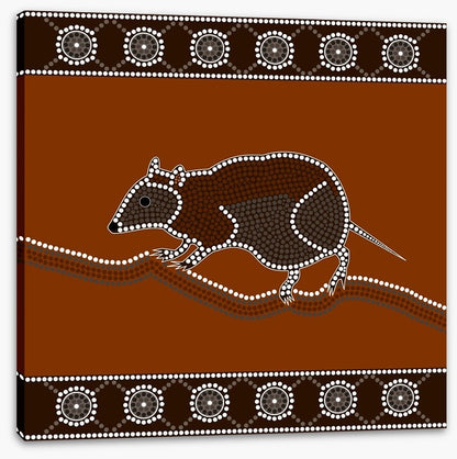 Musky rat-kangaroo