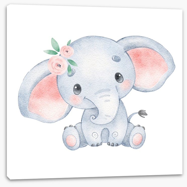 Elephant ears