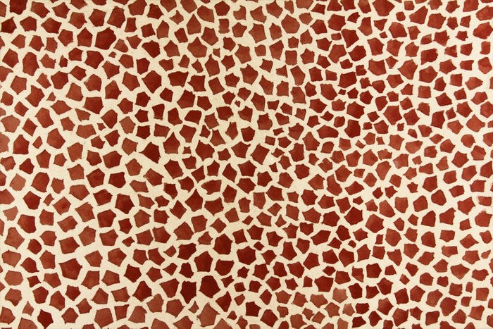 Animal Print