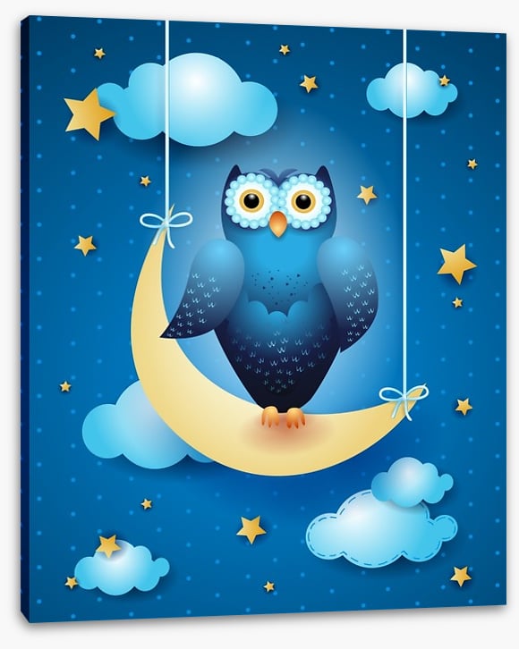 Owls
