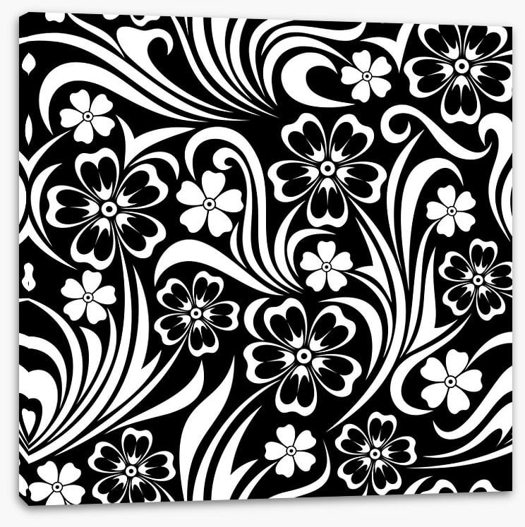 Black and White