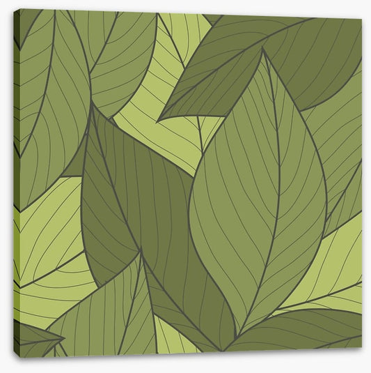 Moss leaves