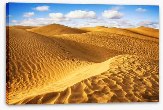 Desert