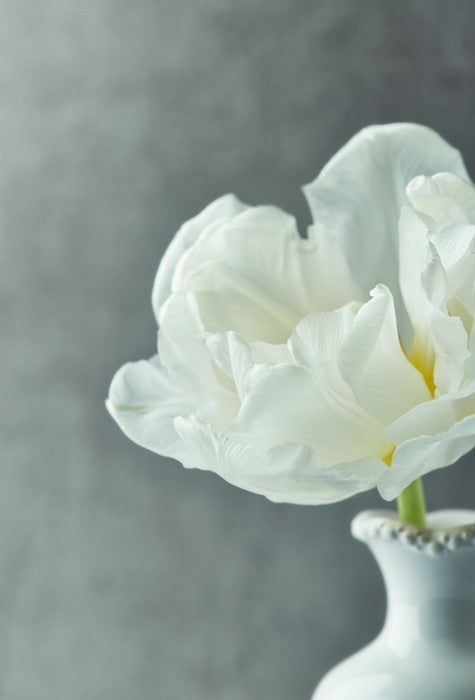 Fragile simplicity