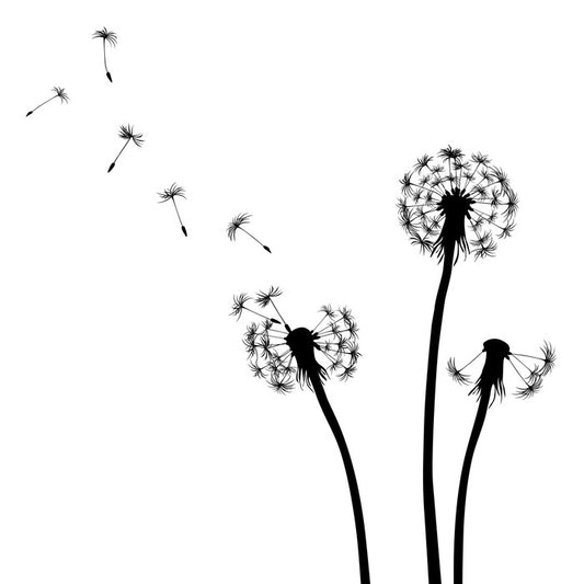 Dandelion wishes