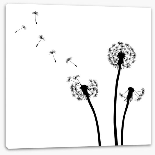 Dandelion wishes