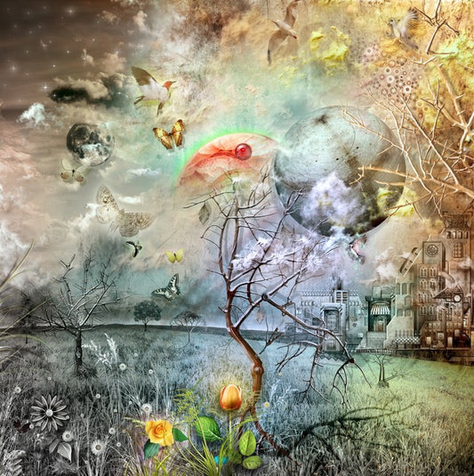 Wonderland of the golden tulip