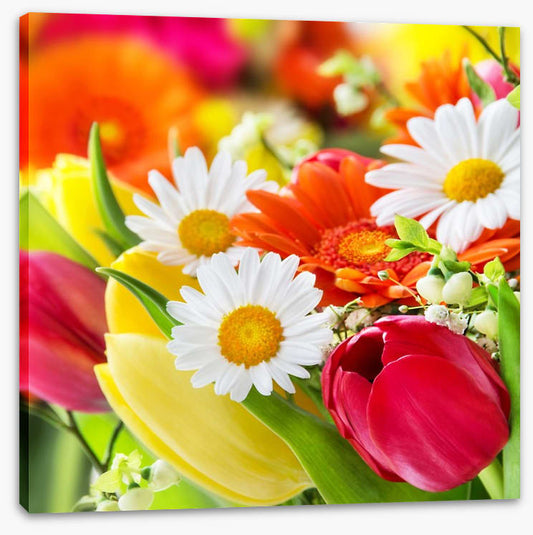 Gerbera and tulips
