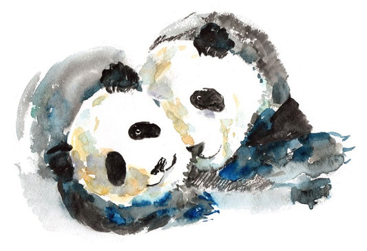 Playful panda bears