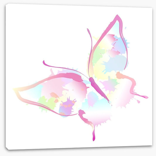Butterfly splash