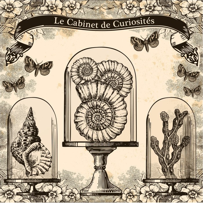 Cabinet de curiosites