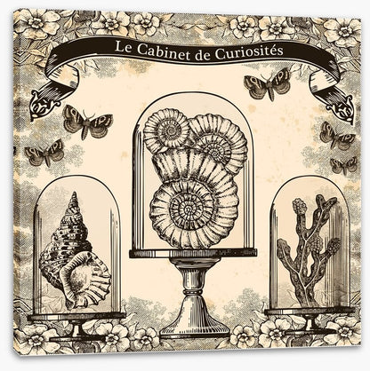 Cabinet de curiosites