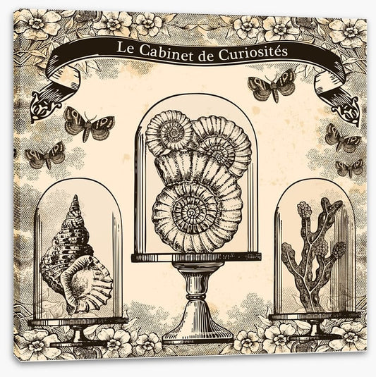 Cabinet de curiosites
