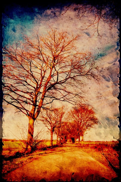 Take me home