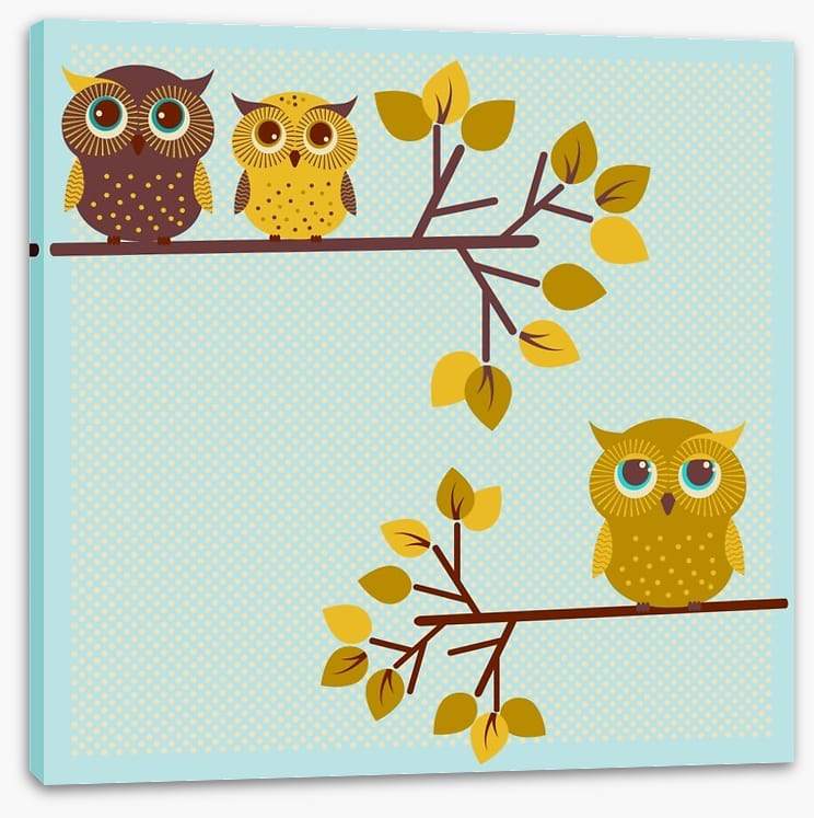 Owls