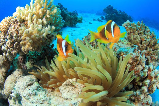 Underwater