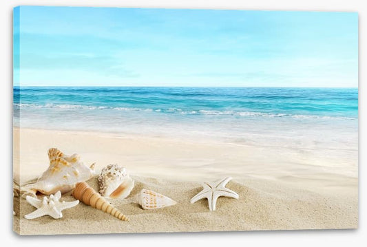 Seashell seascape