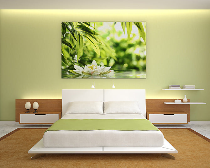 Water lily adrift