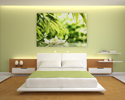 Water lily adrift