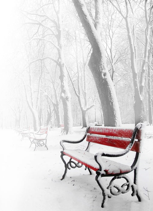 Snowy red bench