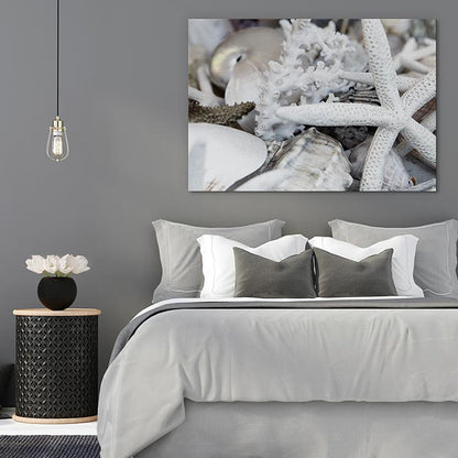 Starfish and coral