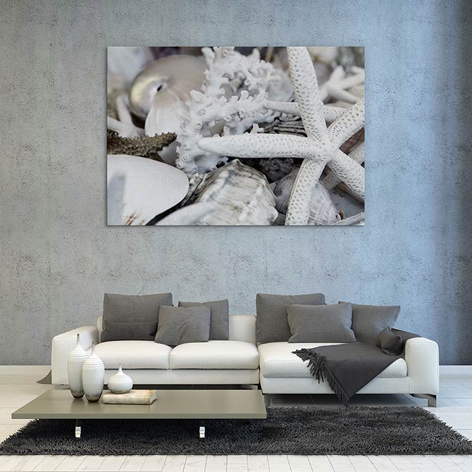 Starfish and coral