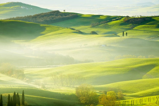 Early morning mist
