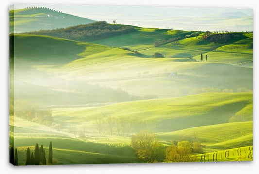 Early morning mist