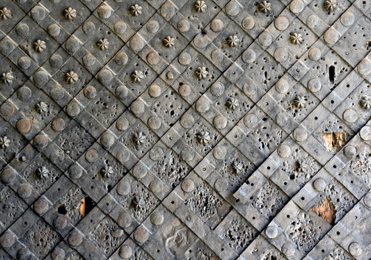 Ancient iron door