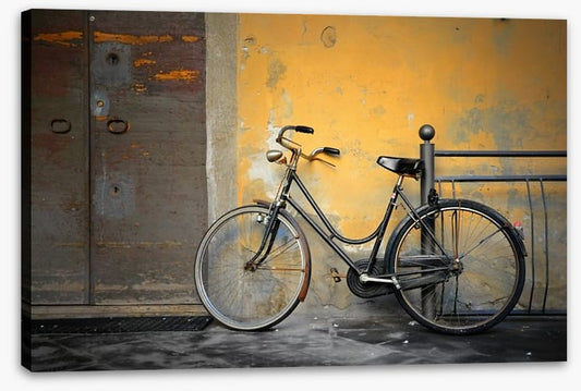 The old Italian bicycle