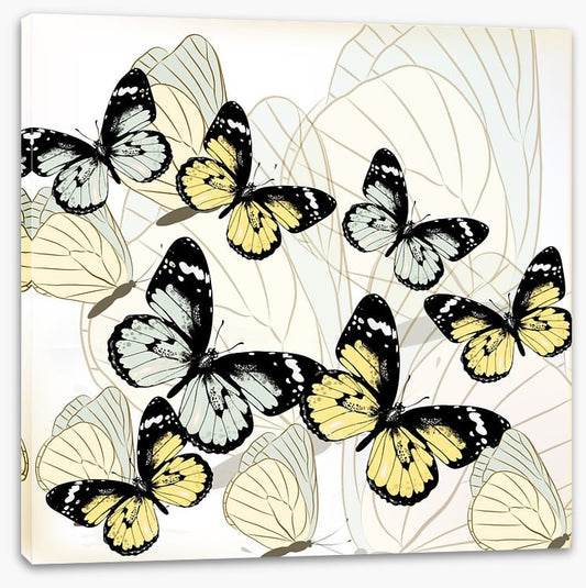 Butterflies