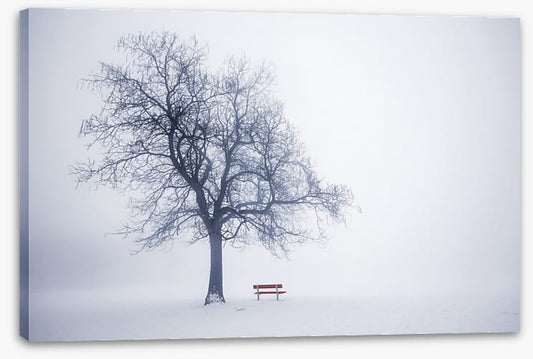 Red bench in Winter