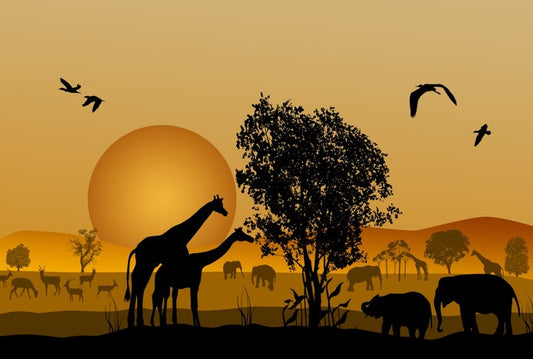 Golden safari sunset