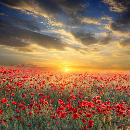 Remembrance