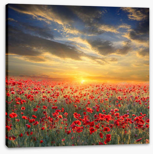 Remembrance