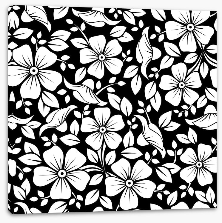 Black and White