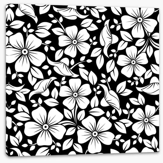 Black and White