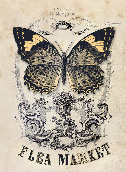 Madame la marquise