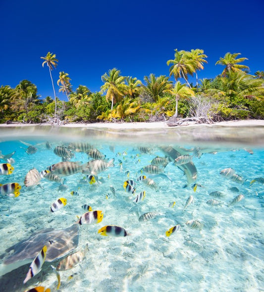 Tropical island paradise